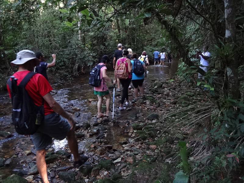 Parque da Onça Parda - Trilha da Cachoeira do Ribeirão Branco.