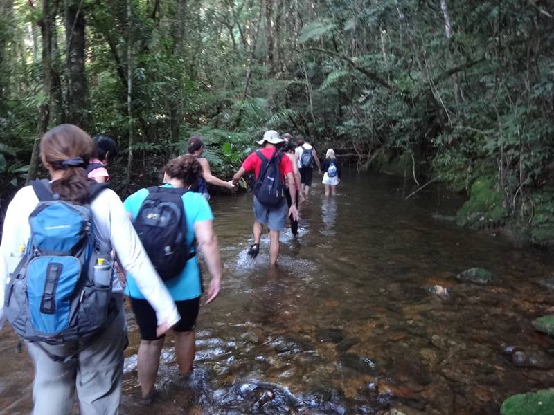 Parque da Onça Parda - Trilha da Cachoeira do Ribeirão Branco.