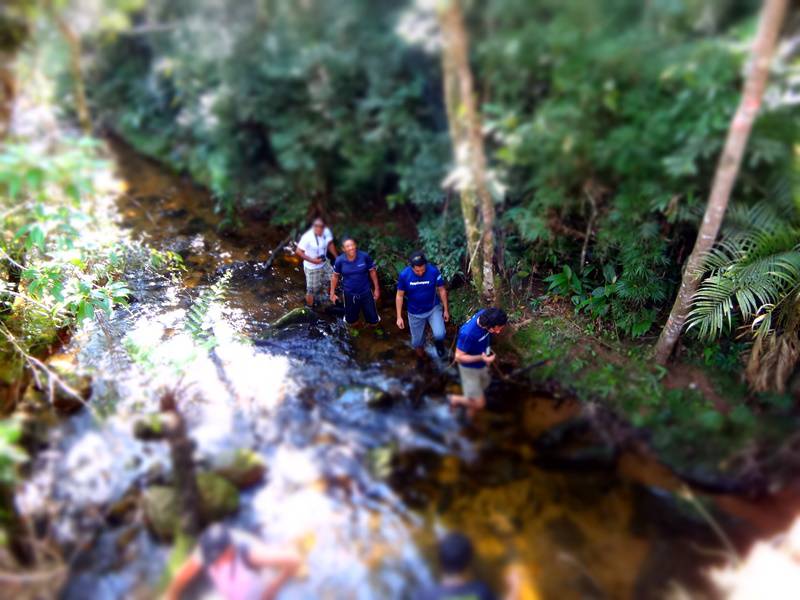 Parque da Onça Parda - Trilha da Cachoeira do Ribeirão Branco.