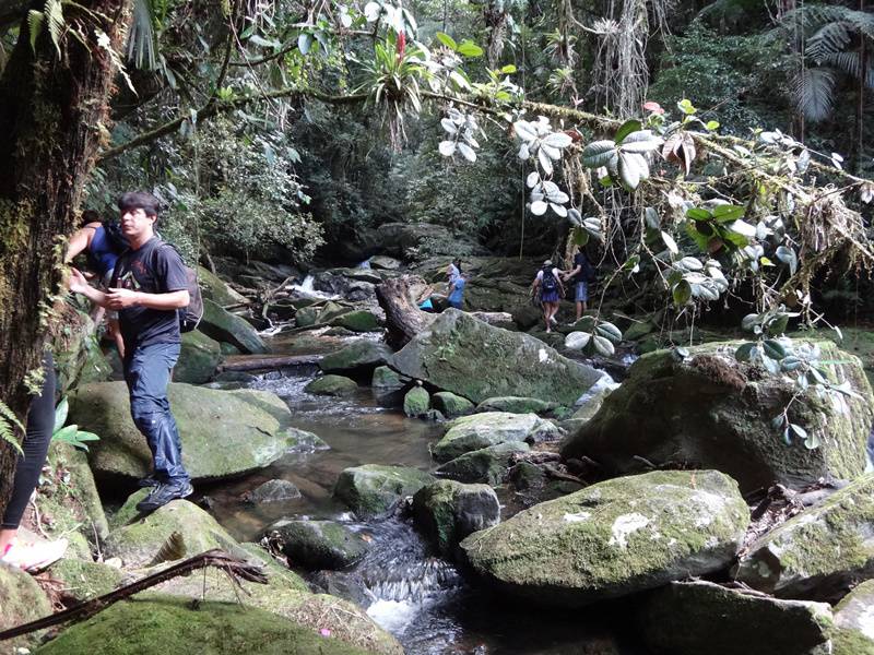 Parque da Onça Parda - Trilha da Cachoeira do Ribeirão Branco.