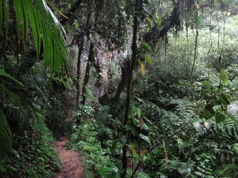 Trilha por fora da Caverna do Couto.