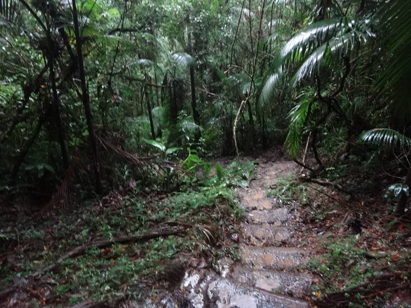 Trilha por fora da Caverna do Couto.