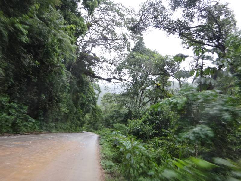 Estrada entre Iporanga e Apiaí.