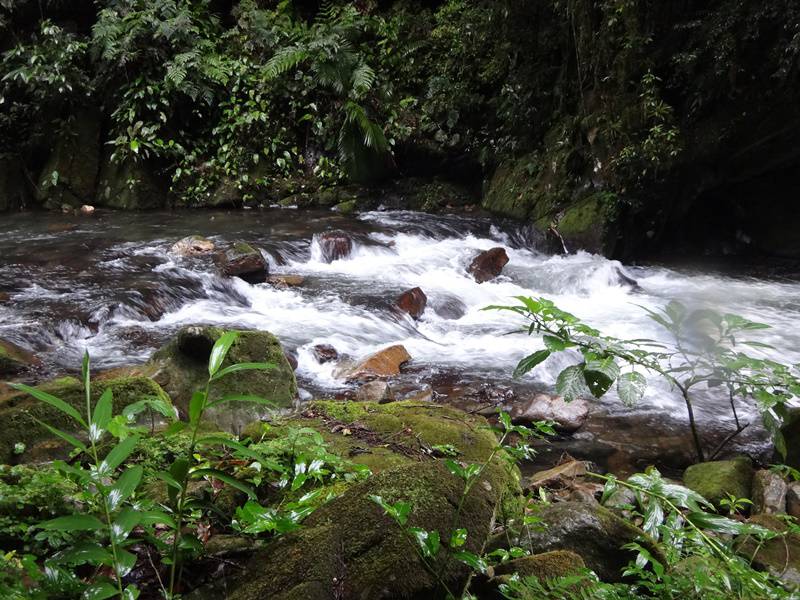 PETAR - Trilha do Rio Betari.