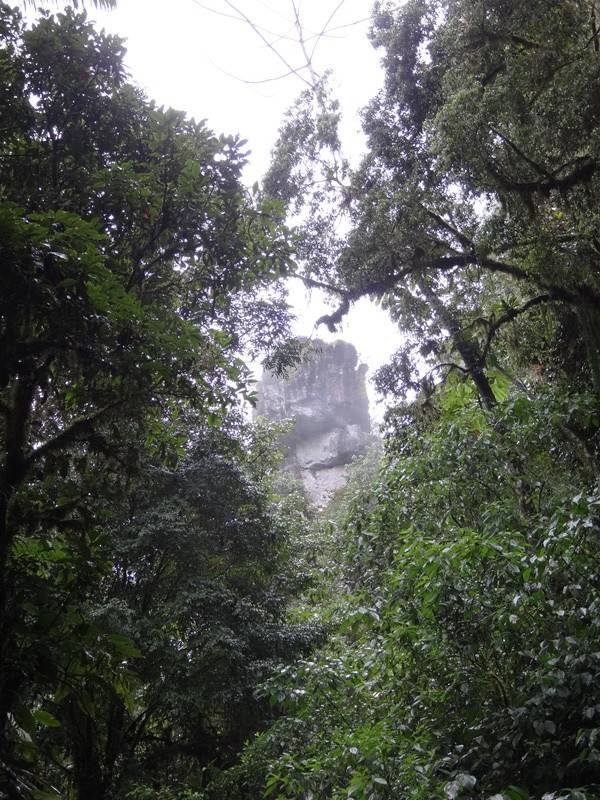 PETAR - Trilha do Rio Betari - Torre de Pedra.