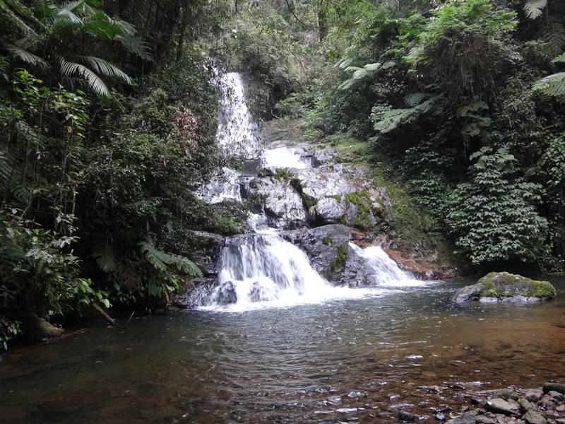 Cachoeira do Rio Ouro Fino - Parque do Zizo.