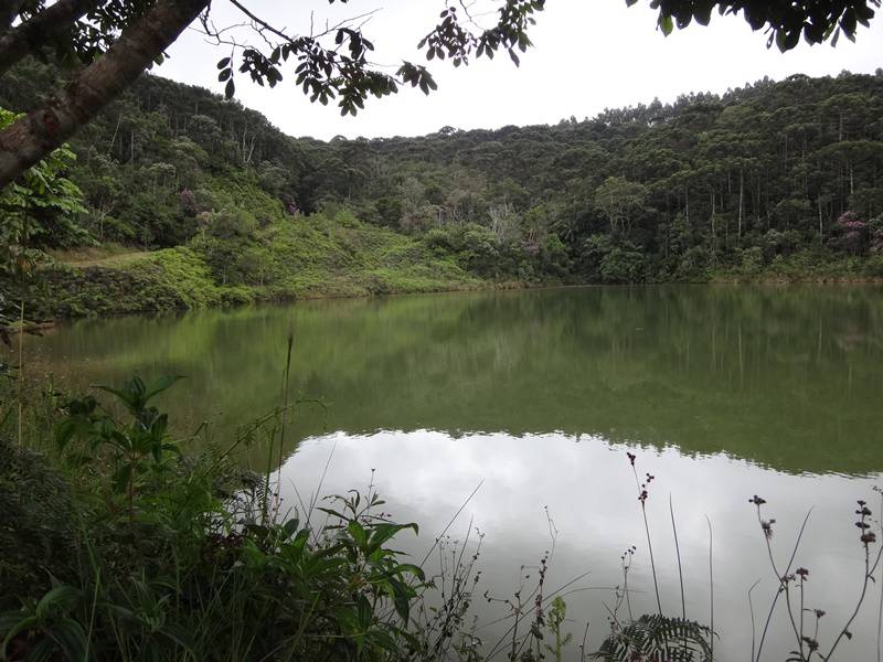 Trilha da Represa - Parque Carlos Botelho.