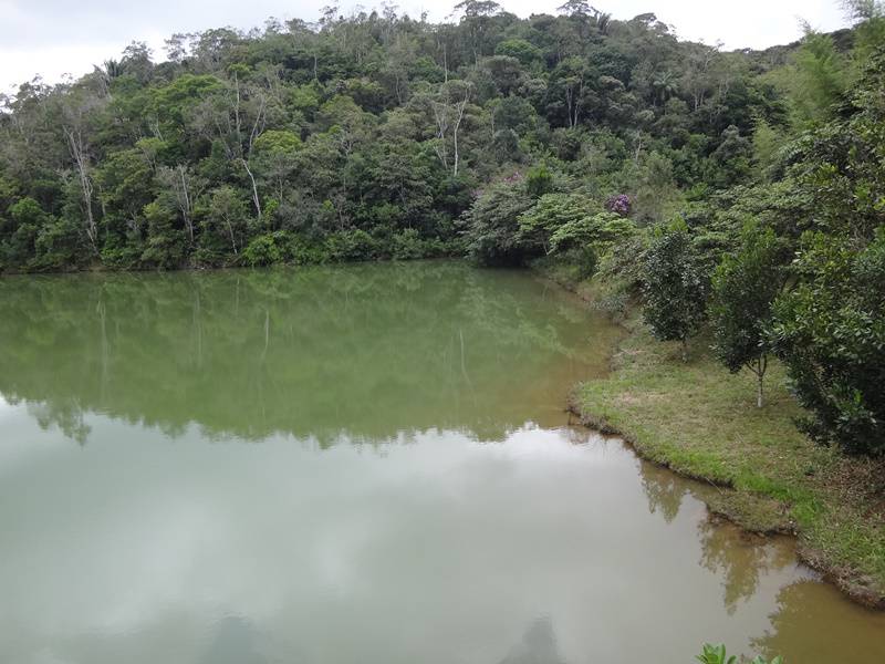 Trilha da Represa - Parque Carlos Botelho.