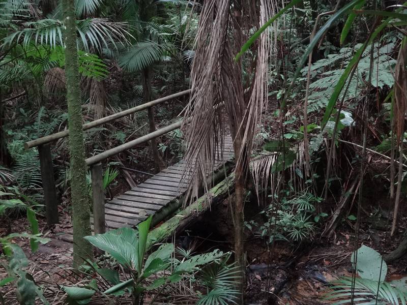 Trilha dos Fornos - Parque Carlos Botelho.