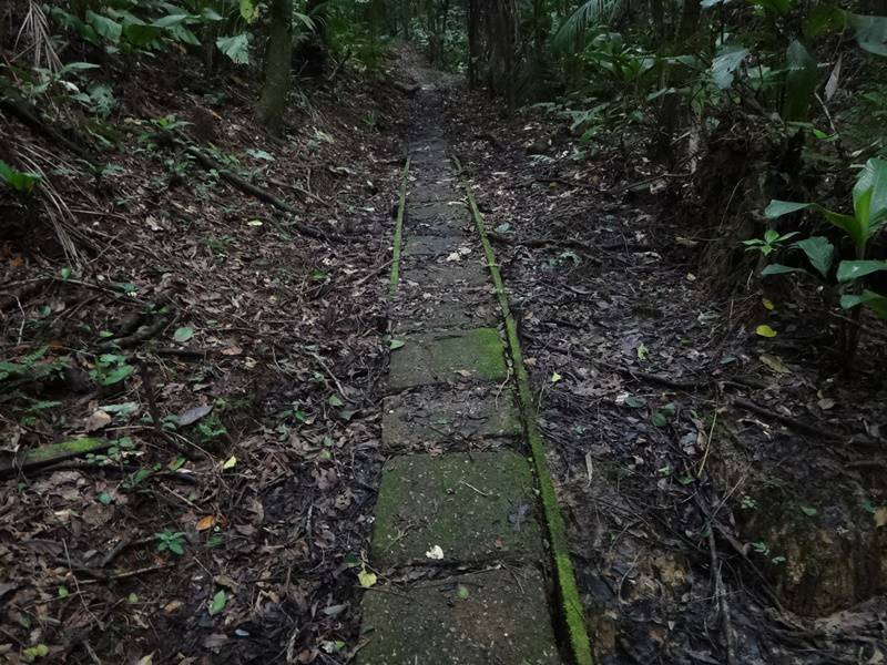 Trilha dos Fornos - Parque Carlos Botelho.