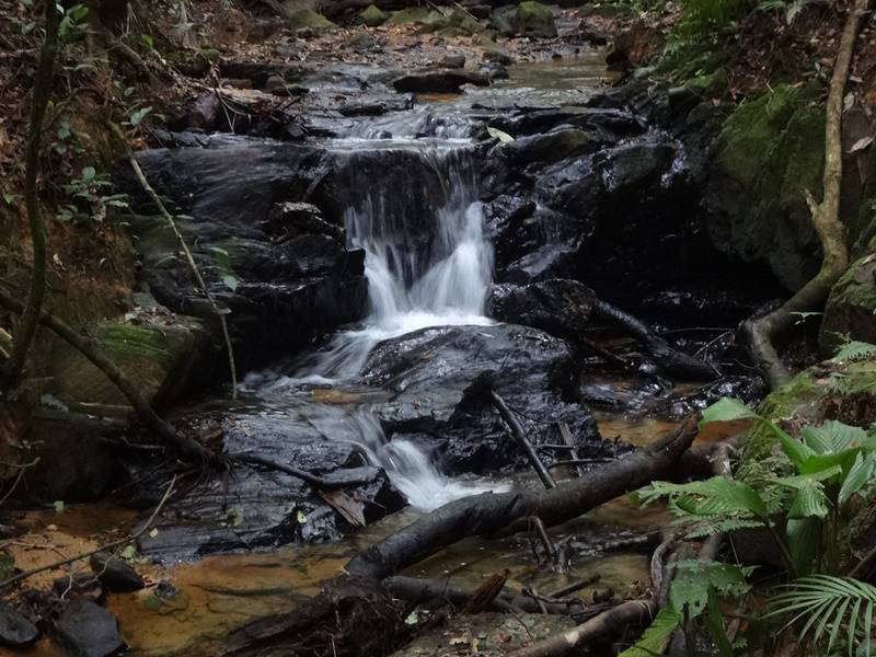 Água potável na Trilha dos Fornos - Parque Carlos Botelho.