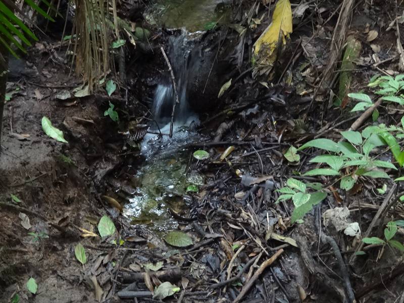 Sumidouro - a água que caía aqui não corria para lugar nenhum na superfície.