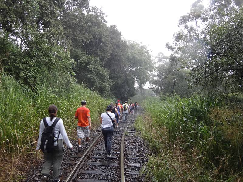 No final da trilha: chuva.