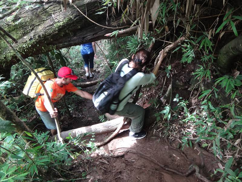 Trilha até a quarta cachoeira - Águas da Prata.