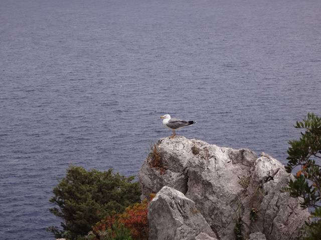 Capri: paisagens ao longo do caminho pela encosta