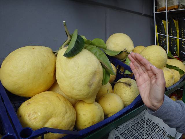 Sorrento: frutas gigantes