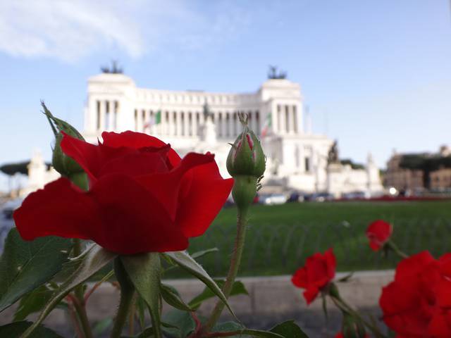 Rosas da Piazza Venezia com o Palácio Vittorio Emanuele ao fundo.