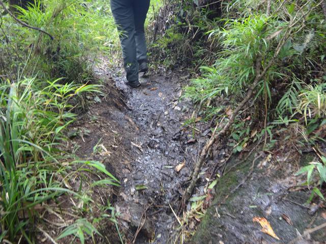 Com exceção de um ponto pantanoso, esse foi o máximo de barro na trilha