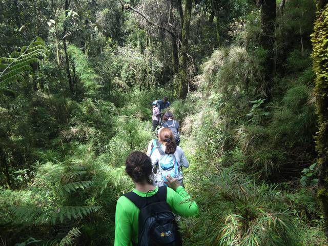 Trilha na Serra do Lopo