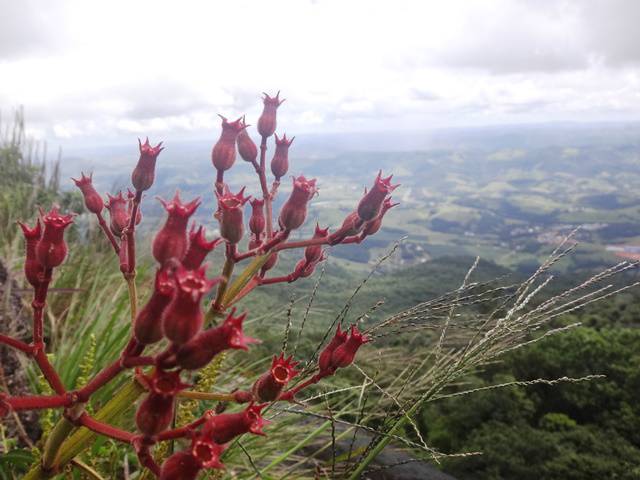 Trilha na Serra do Lopo