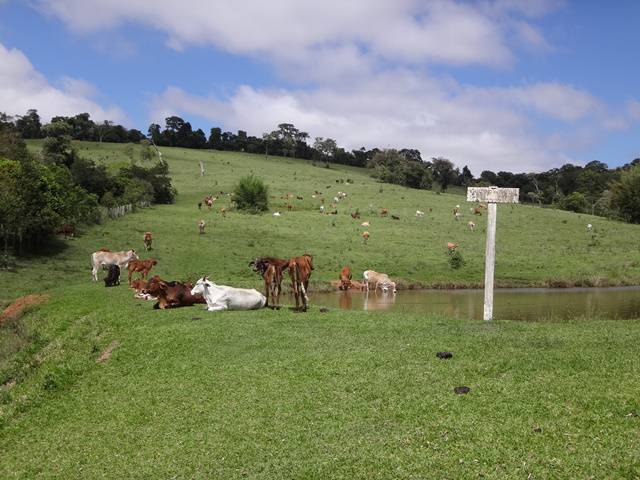 Hotel Atibainha - Trilha Caminho da Saúde.