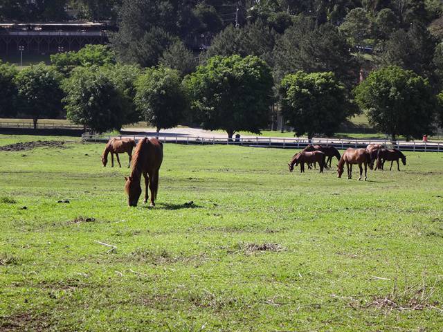 Hotel Atibainha - Passeio de trenzinho.