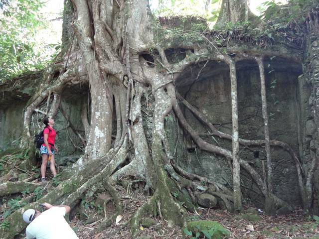 Ubatuba - Ruínas da Lagoinha