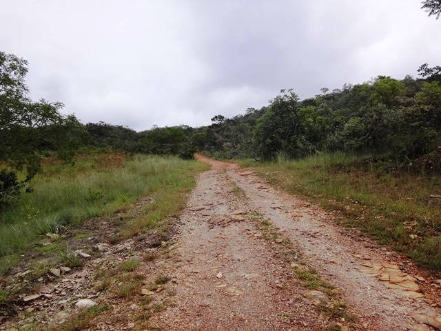 Trilha de mais ou menos 2km até a Cachoeira Maria Augusta.