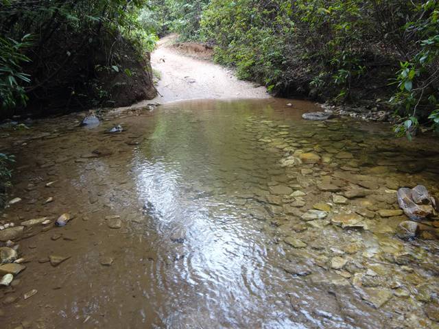 Riacho na trilha para a Cachoeira Maria Augusta.