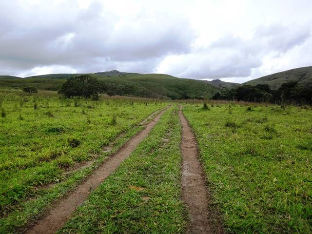 Boa parte da trilha é assim, fácil de caminhar.