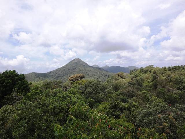 Ao fundo, os picos de Monte Verde/MG.