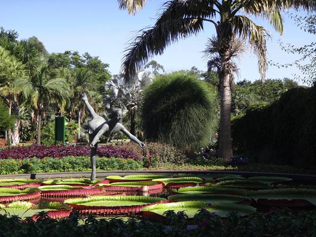 Plantarum - Jardim Botânico de Nova Odessa.