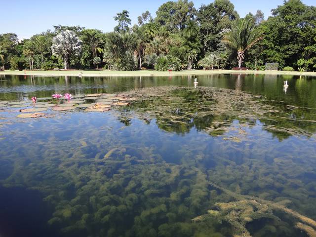 Plantarum - Jardim Botânico de Nova Odessa.