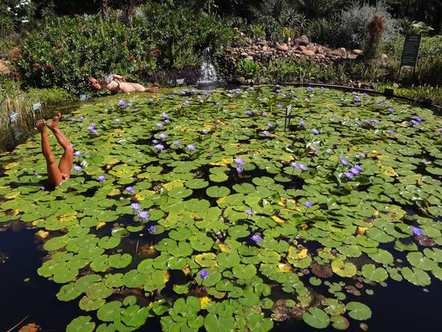 Plantarum - Jardim Botânico de Nova Odessa.