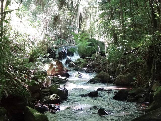 Trilha Cachoeira do Serrote, em Águas da Prata/SP.