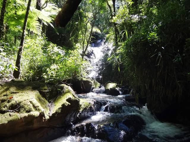 Trilha Cachoeira do Serrote, em Águas da Prata/SP.