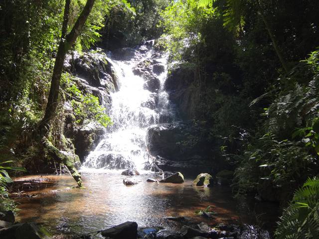 Trilha Cachoeira do Serrote, em Águas da Prata/SP.