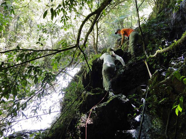 Trilha Cachoeira do Serrote, em Águas da Prata/SP.