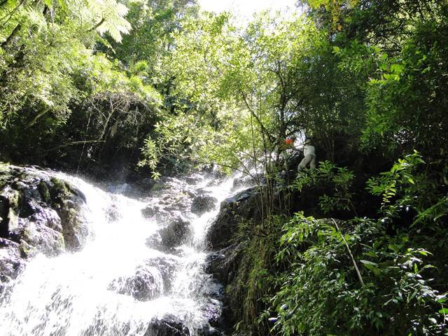 Trilha Cachoeira do Serrote, em Águas da Prata/SP.