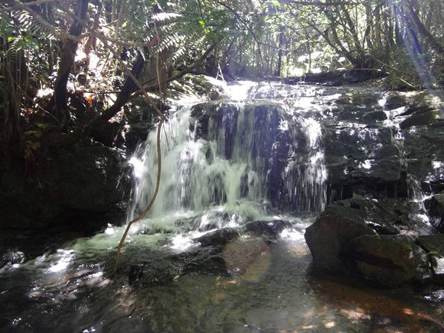 Trilha Cachoeira do Serrote, em Águas da Prata/SP.