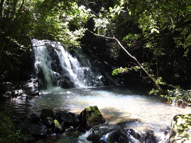 Trilha Cachoeira do Serrote, em Águas da Prata/SP.