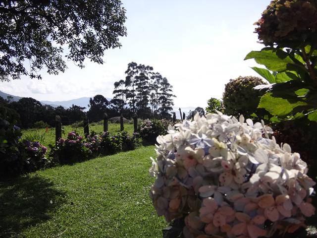 Fazenda Monte Verde, em São Francisco Xavier.