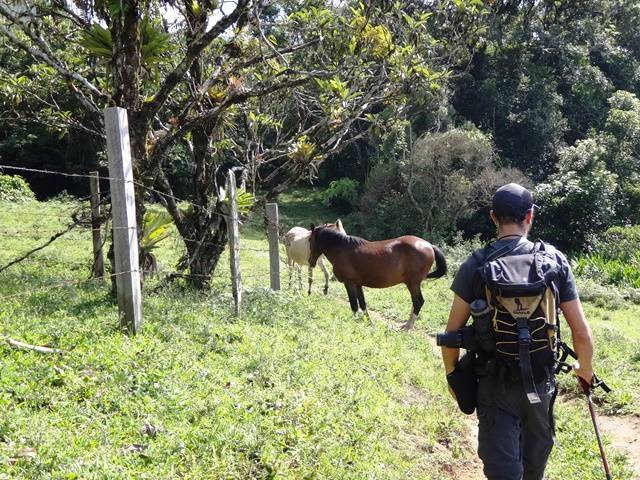 Trilha para a Cachoeira das Fadas.