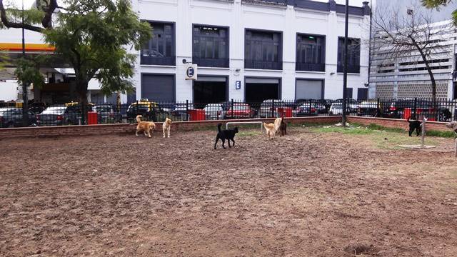 Praça Petronila Rodriguez.