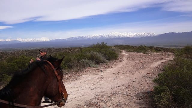 Passeio a cavalo em Mendoza, Argentina.