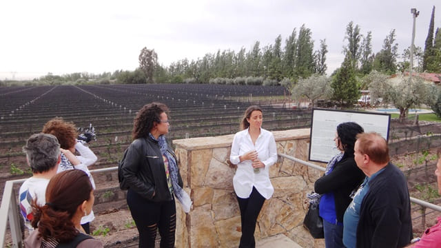 Bodega Tempus Alba, em Maipú, Mendoza.