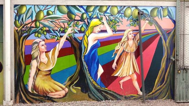 Pintura retratando as oliveiras na Pasrai.