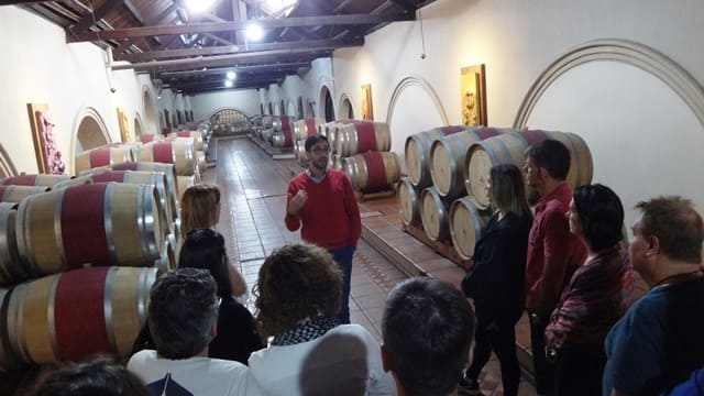 Bodega Luigi Bosca.