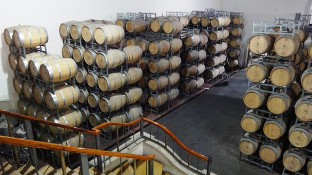 Bodega Luigi Bosca.