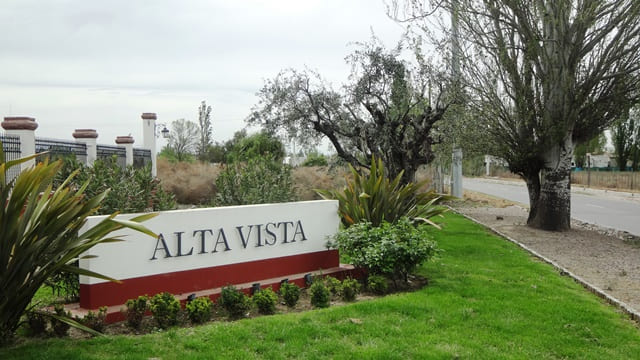 Bodega Alta Vista.